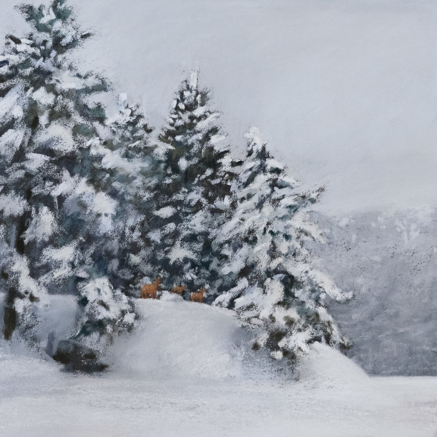 Quiet Season